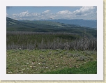 Wyoming2008 505 * Recovering forest * Recovering forest * 2816 x 2112 * (2.08MB)